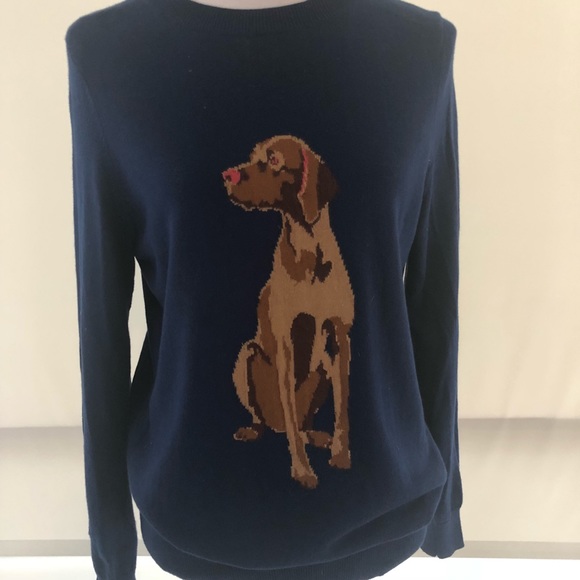 Joe Fresh Sweaters - Medium Joe Fresh Brown Lab Blue Sweater